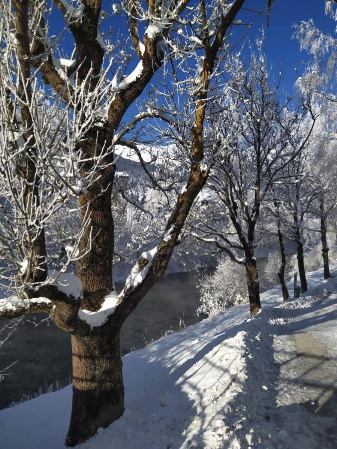 Alpenblick Apartment Gastein - Inklusive Eintritt Alpentherme Bad Hofgastein Zewnętrze zdjęcie